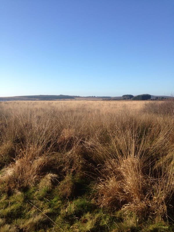 De heidevelden, de veenmoerassen van Brennilis en zijn rustgevende meer - Finistère - 1