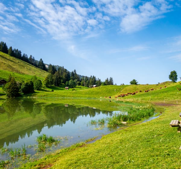 Ronde van Lac des Confins en sensorische reis aan de voet van de Aravis - La Clusaz - 1