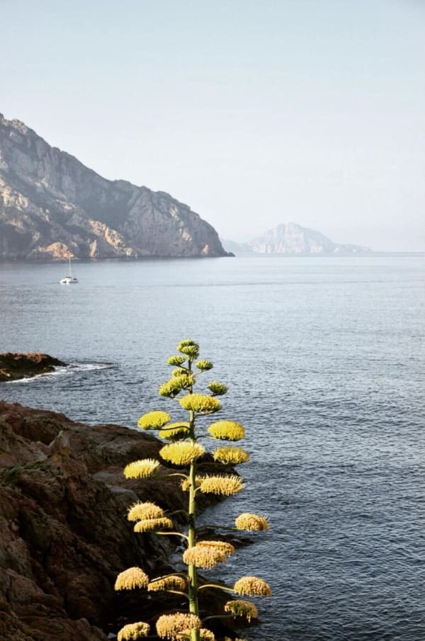 Splendide baie de Girolata et ses sublimes plages - Osani - 1
