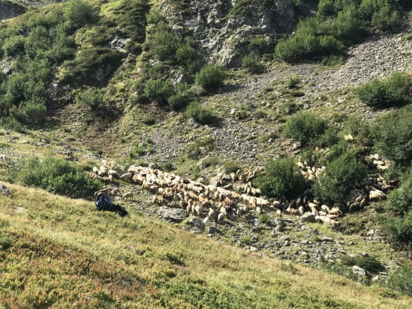 De meren van Ecrins en een droomnacht in de berghut Muzelle - Vénosc - 1