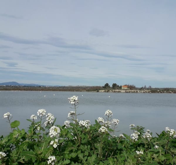 Kathedraal van Maguelone en wandeling langs de kust - Palavas-les-Flots - 1