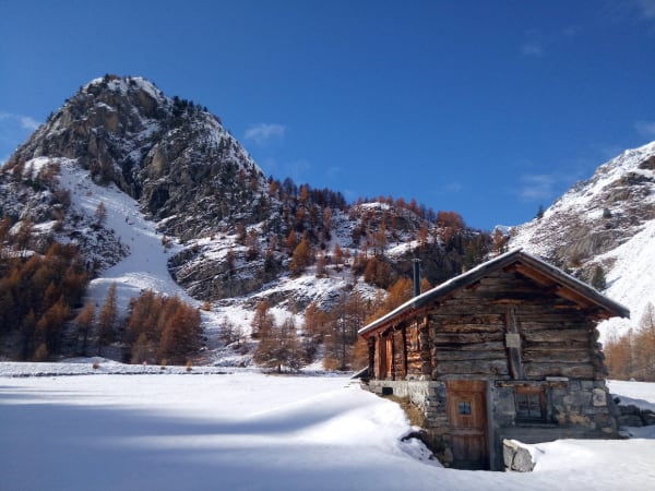 Alpages, lac de Néal et vallée d'Arvieux dans le Queyras - Arvieux - 1