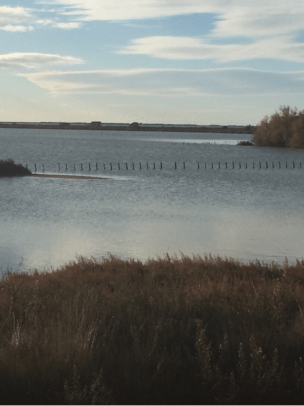 Ontdek Villeneuve les Maguelone en zijn uitzonderlijke zoutmoerassen - Villeneuve lès Maguelone - 1
