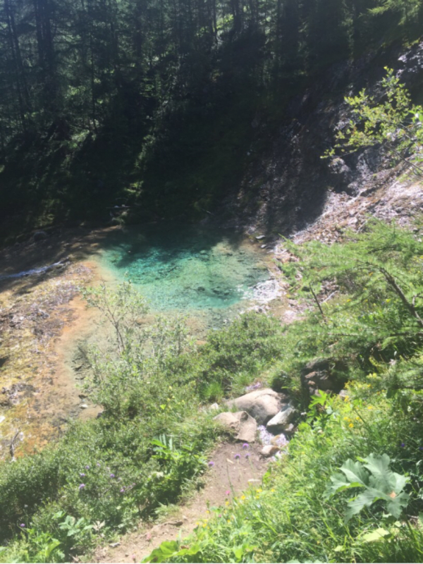 Botanische route van het Bois de la Laye en de Salins-poelen - Tignes - 1