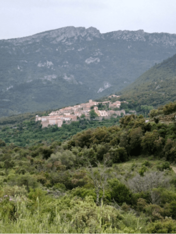 Découverte du Pays Cathare et magie du Verdouble avec sa cascade de Duilhac - Duilhac-sous-Peyrepertuse - 1