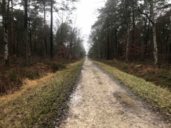 Wandeling in het bos van Orléans en de overblijfselen van de aerotrain - Decathlon - 1