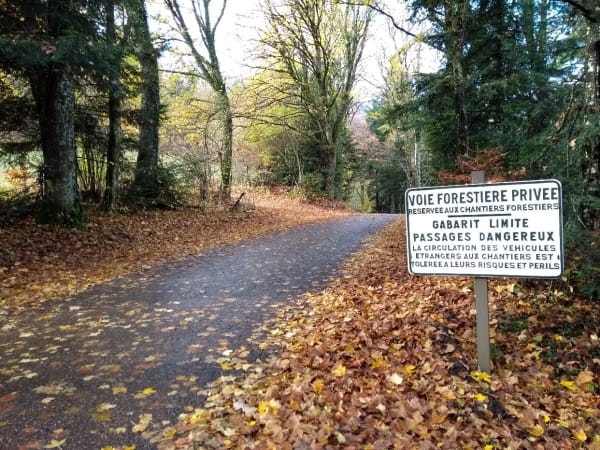 Wandeling rond de Gexvallei en verkwikkend bosbad - Gex - 1
