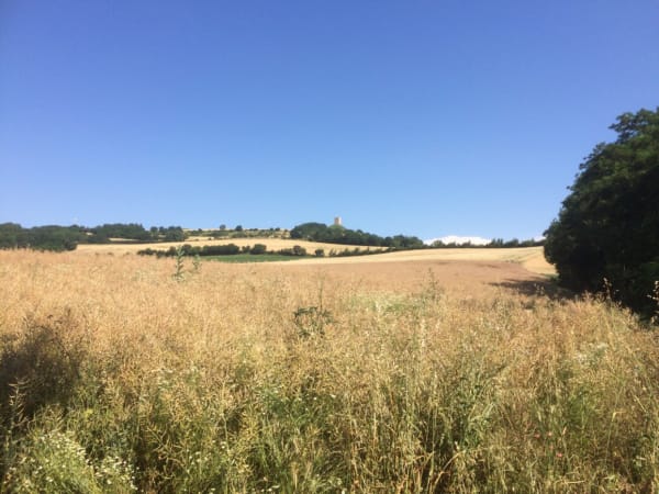 Wandel naar de Albon-toren en bewonder de landschappen van weleer - Saint-Romain-d'Albon - 1