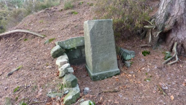 De Apremont-woestijn en zijn opvallende kloven - Fontainebleau - 1