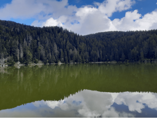 Wandelen langs de 4 meren en natuurwonderen van de Vogezen - Lac Blanc, Orbey - 1