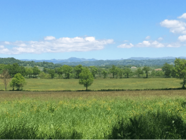 Evasion entre Ytrac et lac de Saint-Etienne-Cantalès - Ytrac - 1
