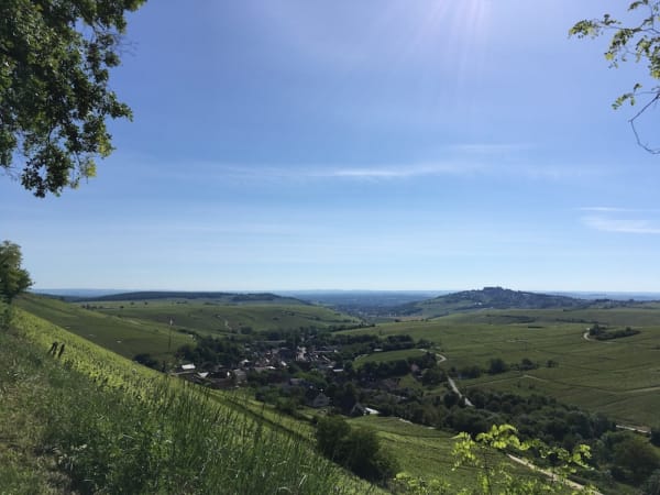 Entre le boire et le fromage, rando vigne dans le Sancerrois - Saint-Satur - 1