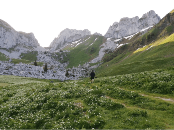 Wandeling op de Dent d’Oche en magisch panorama van het Meer van Genève - La Fétiuère, Bernex - 1