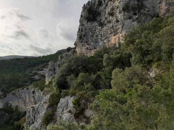 Saint-Guilhem-le-Désert et la boucle du baume de l'olivier - Saint-Guilhem-le-Désert - 1