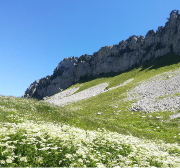 Bivouac et Grande Sure depuis Fontanil-Cornillon - Fontanil-Cornillon - 1