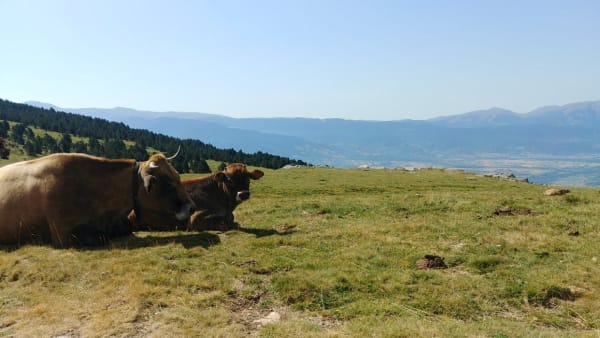 Pic des Mauroux en zijn adembenemende uitzicht op de Cerdagne - Font Romeu - 1