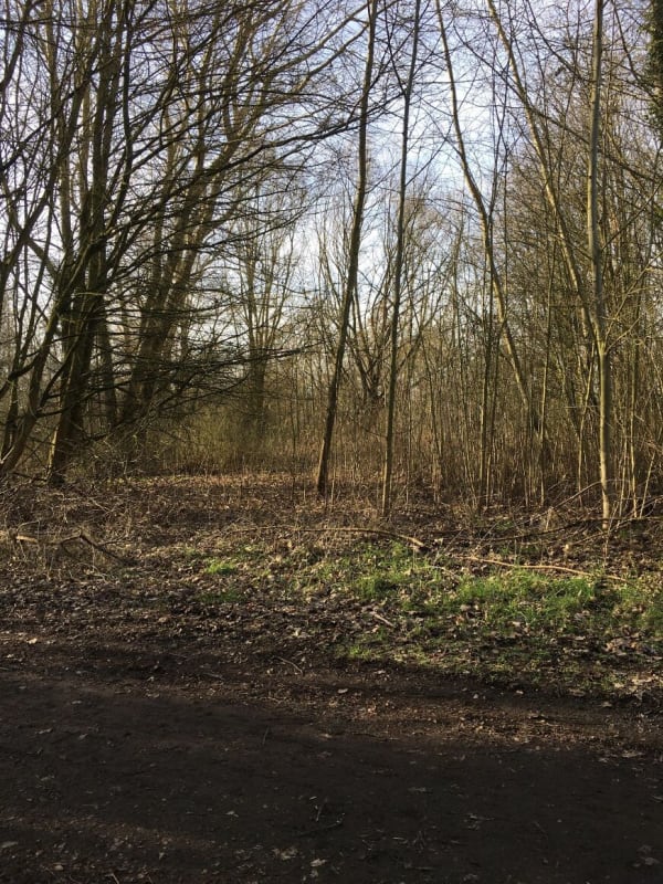 Natuurpark van Lomme en een prachtige wandeling rond Lille - Lomme - 1