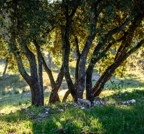Escapade à vélo dans la campagne nîmoise - Nîmes - 1