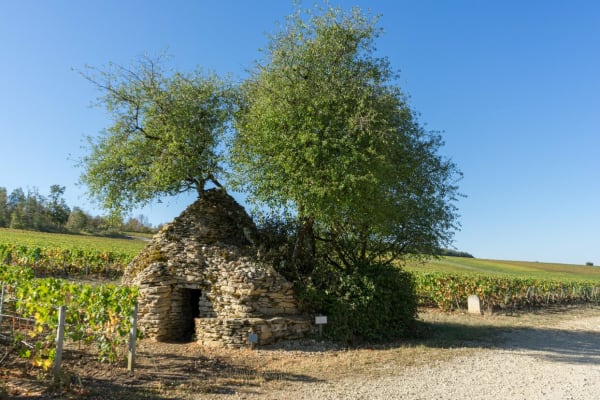Les Riceys et escapade délicieuse dans des mers de vignes - Les Riceys - 1