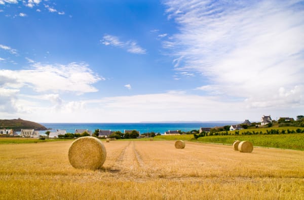 Tréfeuntec en uitstapje naar het strand van Sainte-Anne-la-Palud - Plonévez-Porzay - 1