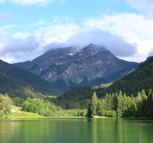 Tour du lac de Montriond et la jolie cascade d’Ardent - Montriond - 1