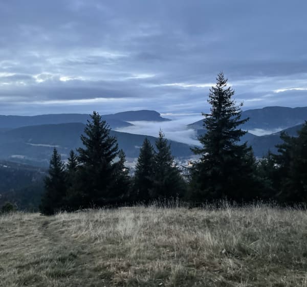 Gemakkelijk te voet bereikbaar vanaf La Conversaria naar Villard-de-Lans - Villard de Lans - 1
