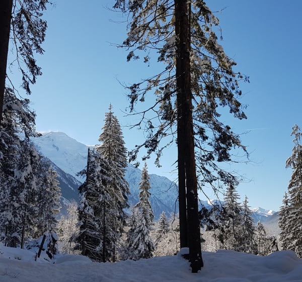 Sneeuwvakantie in het Tines-bos - Chamonix-Mont-Blanc - 1