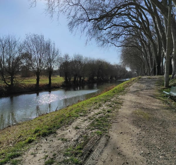 De la Chalaronne à la Saône - Saint-Didier-sur-Chalaronne - 1