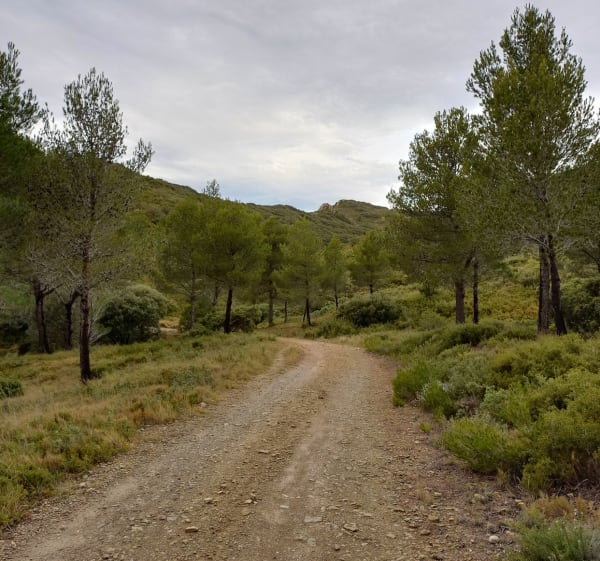 Le Jas du Pezou - Saint Rémy de Provence - 1