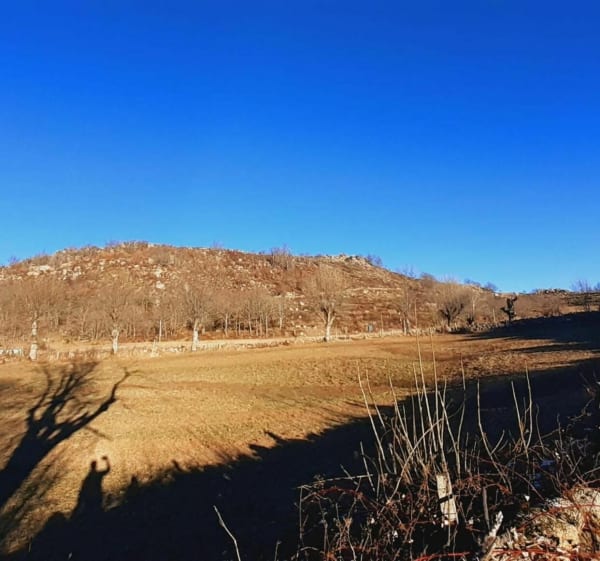Pause fraîcheur. - Pont-de-Montvert-Sud-Mont-Lozère - 1