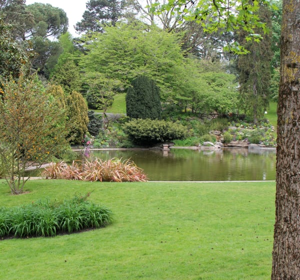 Étang et Parc Saint-Nicolas à Angers - Angers - 1