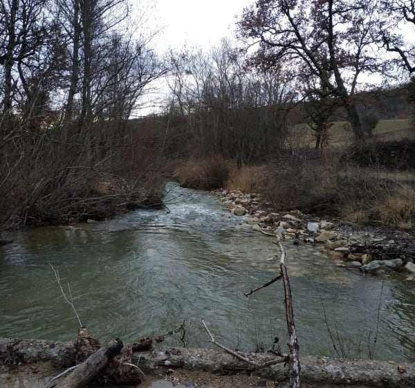 Randonnée entre Forcalquier et les Ybourgues. - Forcalquier - 1