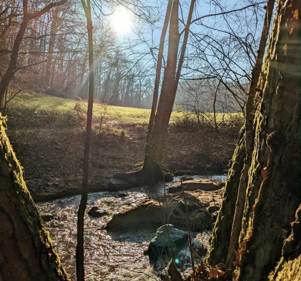 Vers la rivière Yzeron - Vaugneray - 1