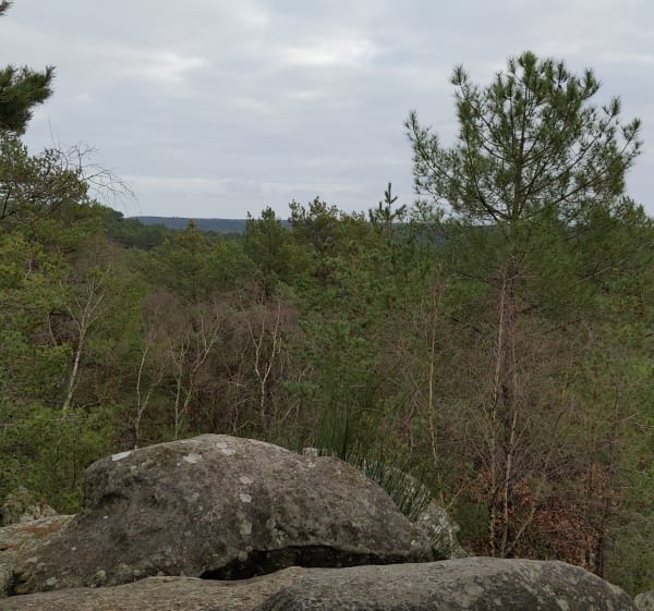 Le labyrinthe de roches à Fontainebleau - Fontainebleau - 1