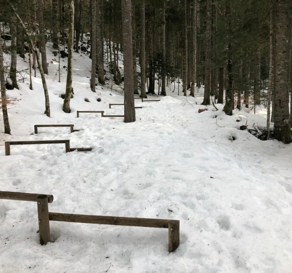 Het leuke fitnessparcours van Bois Barbu - Villard-de-Lans - 1