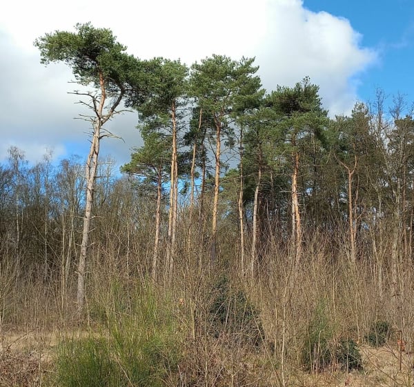 Les Dunes des Charmes à Sermoyer - Sermoyer - 1