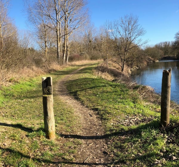 Promenade long de l’Ouche de Neuilly-les-Dijon à Fauverney - Neuilly-Crimolois - 1
