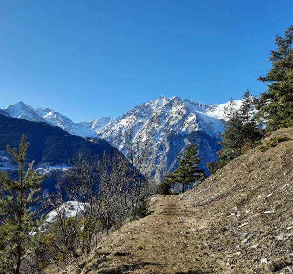 Sur les hauteurs du Cert en Oisans - Auris - 1