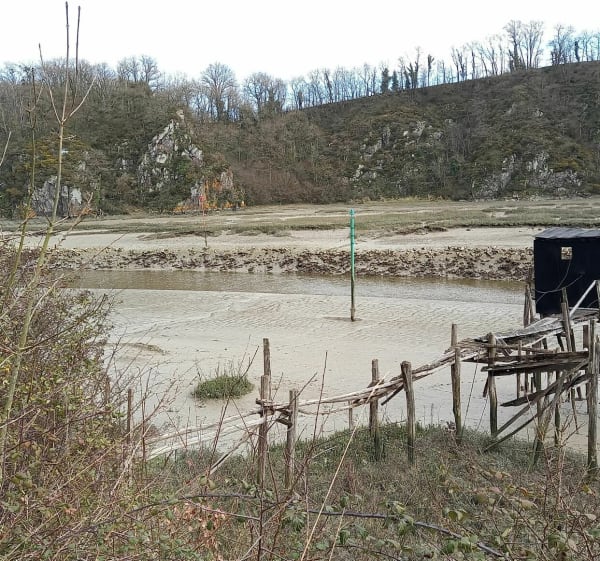 Plouër-sur-Rance, à la découverte des méandres de la Rance - Plouër-sur-Rance - 1