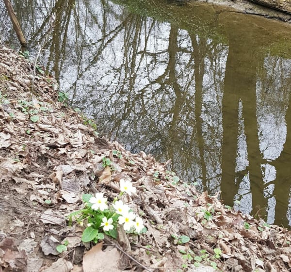 De Cibeins au monument de la rencontre à Ars sur Formans - Misérieux - 1