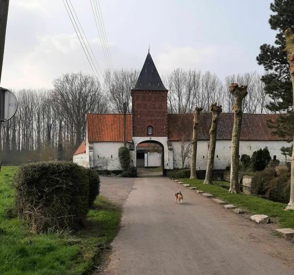 Beekpad en Infière-bos in Bouvine - Bouvines - 1