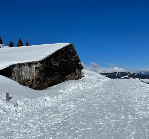 Het meer van Evettes in Praz-sur-Arly - Praz-sur-Arly - 1
