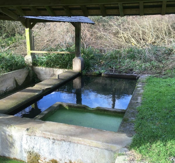 Balade autour de Beaufour-Druval - Beaufour-Druval - 1