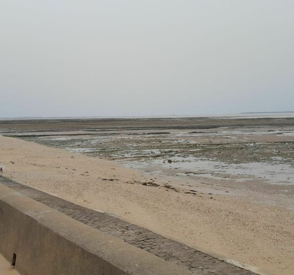 Sortie à Châtelaillon-Plage vers Angoulins à vélo - Châtelaillon-Plage - 1