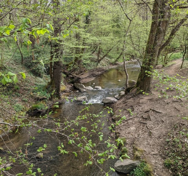 Francheville, la rivière Yzeron et le fort de Brussin - Francheville - 1