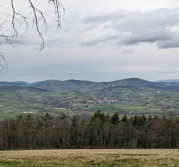 Col de Malval, la Garine. - Courzieu - 1