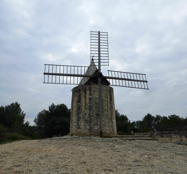 Forêt de Fontvieille - Fontvieille - 1