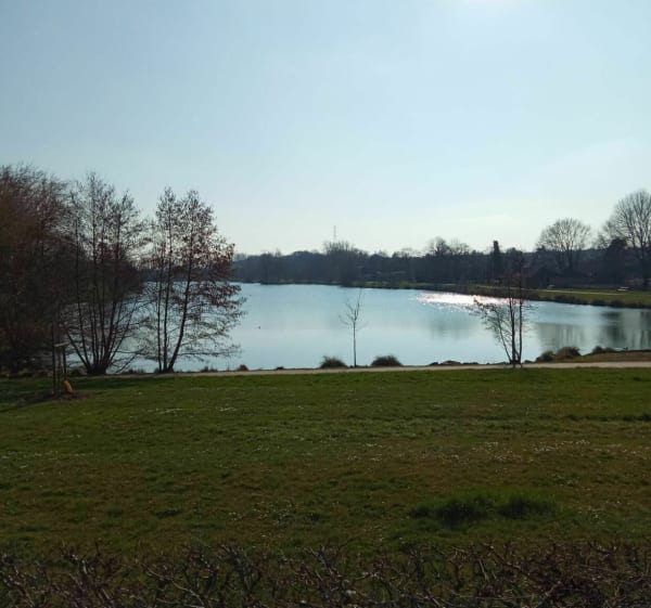 Balade en famille le long des plans d'eau : La prairie - Barjouville - 1