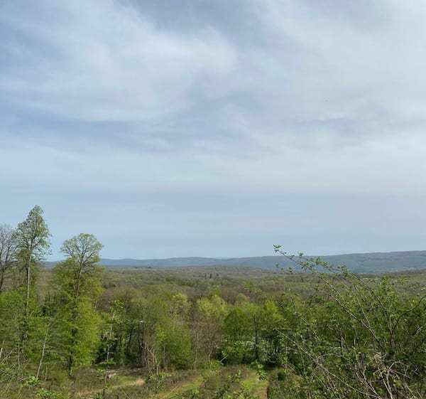 Fort de la Dame Blanche - Thallenay - 1