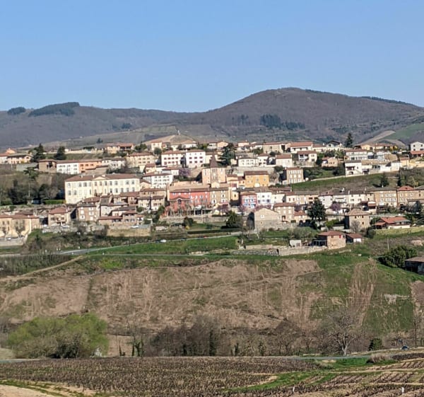 Vaux en Beaujolais, 20 km - Vaux-en-Beaujolais - 1